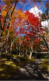 箱根美術館