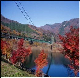 もみじ谷大吊橋