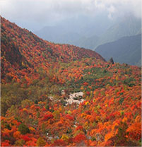 那須高原（茶臼岳周辺）