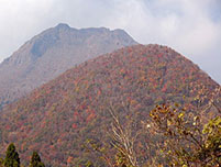 由布岳