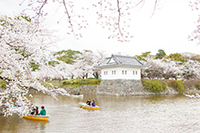 小田原城址公園