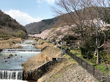 宮城野