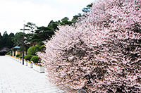 恩賜箱根公園