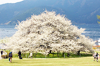 箱根園