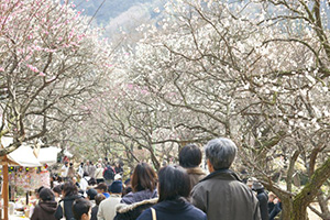 写真提供：熱海市観光協会