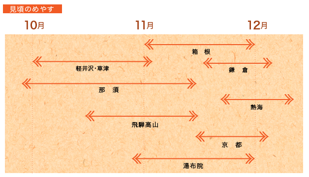 見頃のめやす