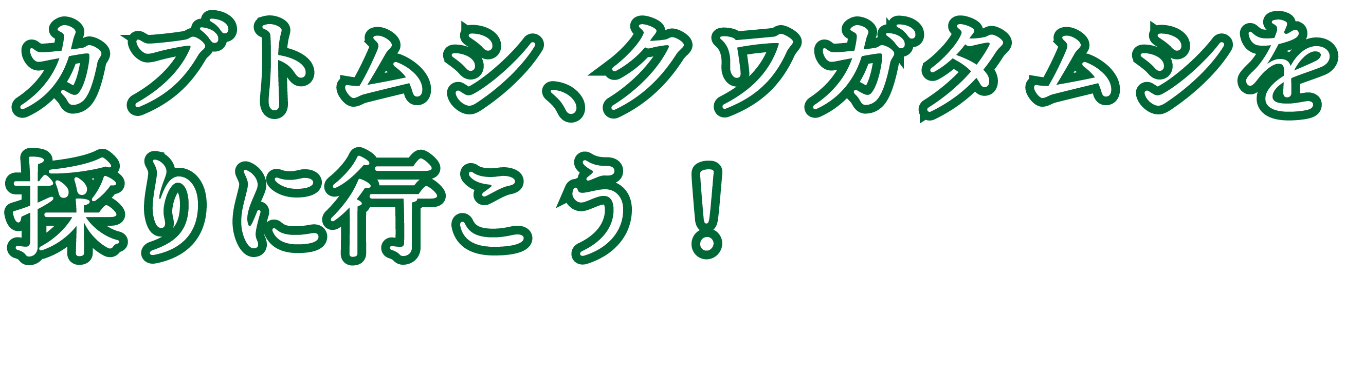 カブトムシ、クワガタムシを 採りに行こう！