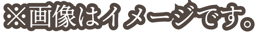 ※画像はイメージです。