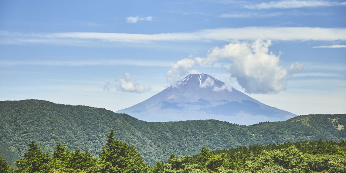 箱根スタイルの芦ノ湖・富士山側和室からの眺め