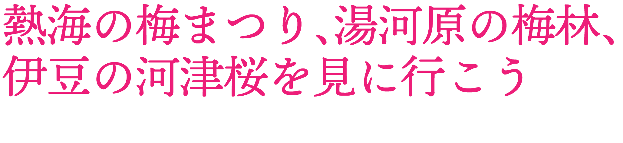 熱海の梅まつり、湯河原の梅林、伊豆の河津桜を見に行こう