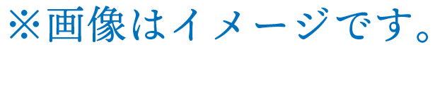 ※画像はイメージです。