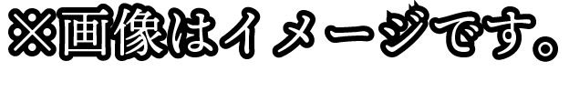 ※画像はイメージです。