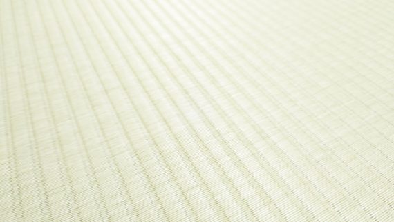 畳(イメージ画像)