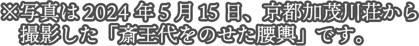 ※写真は2024年5月15日、京都加茂川荘から撮影した「斎王代をのせた腰輿」です。