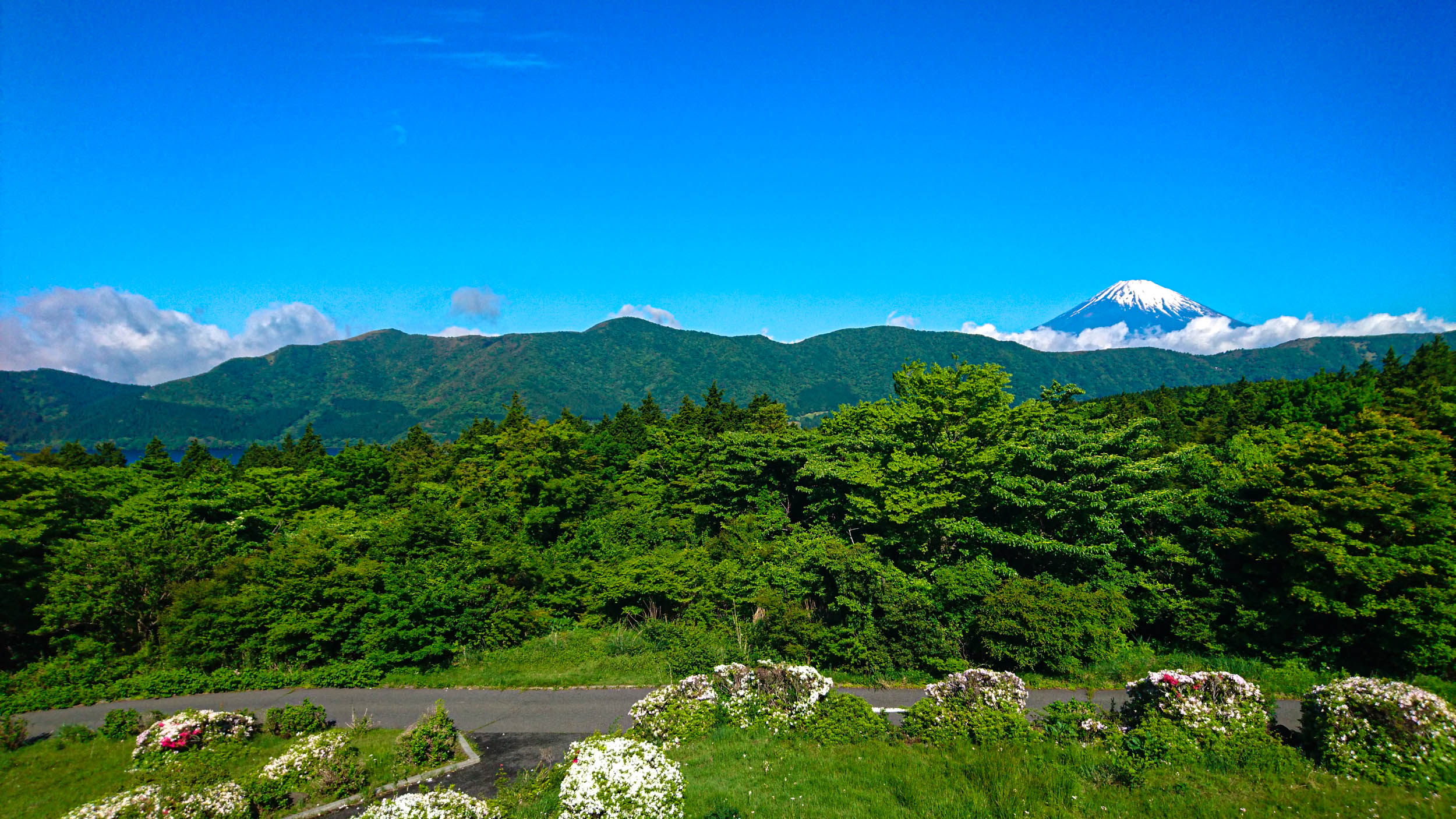 芦ノ湖側の客室からの眺望